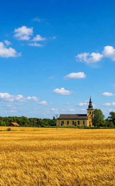 Golden wheat field before a country church near Grastorp, Sweden, under a bright summer sky