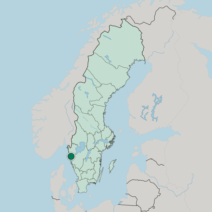 Map showing Henån — In Sweden