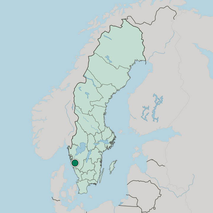 Map showing Lerum — In Sweden