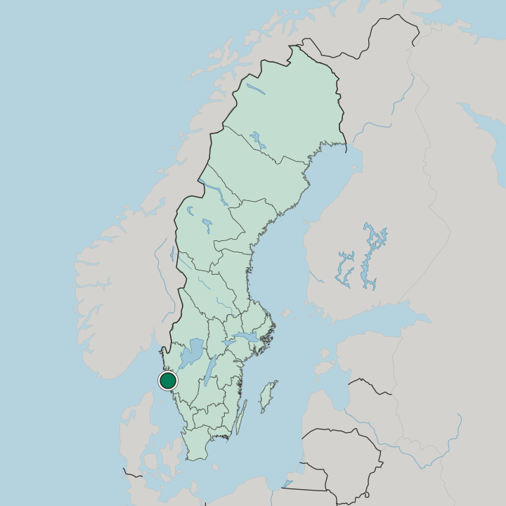 Map showing Skärhamn — In Sweden