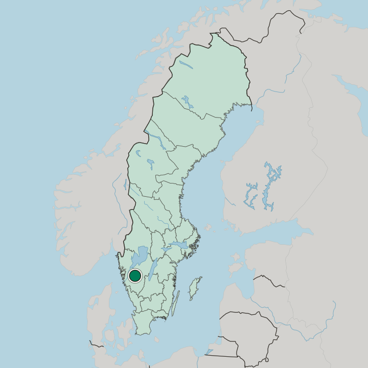 Map showing Vårgårda — In Sweden