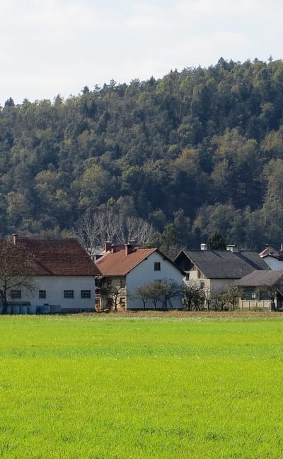 Poljane