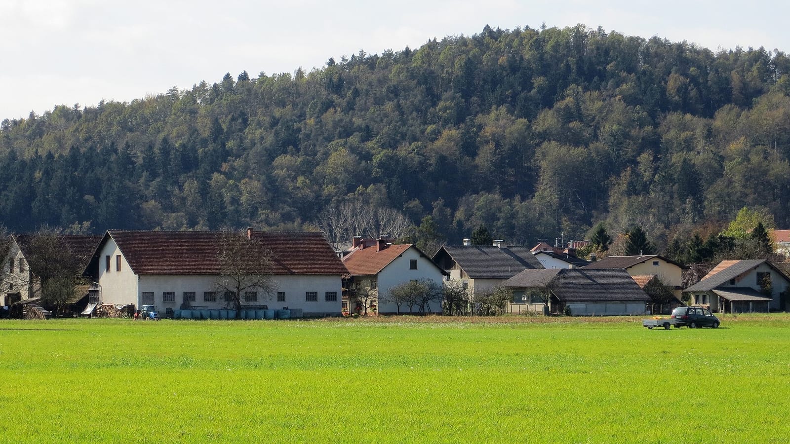 Poljane