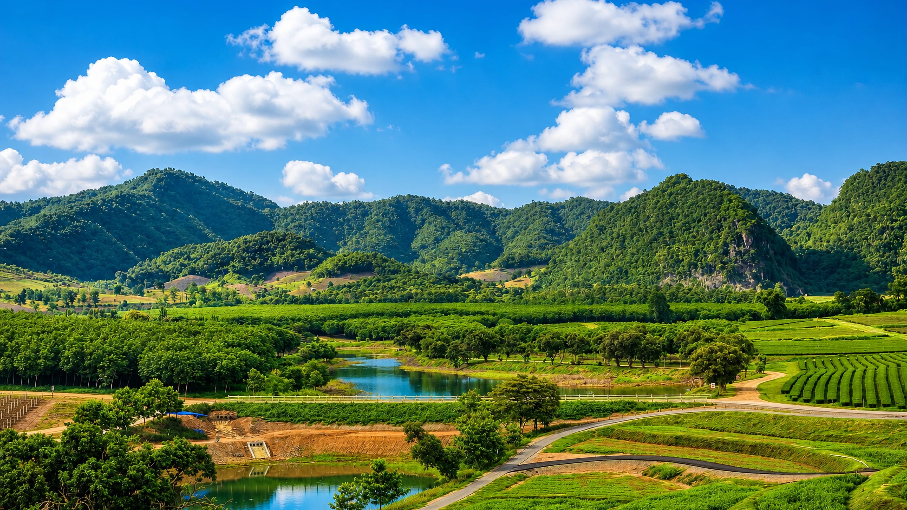 Green tea terraces and forested hills in the Chiang Rai countryside of northern Thailand under a bright blue sky.