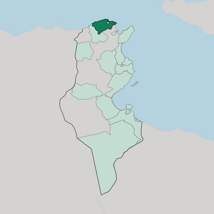 Map showing Gouvernorat de Bizerte — In Tunisia
