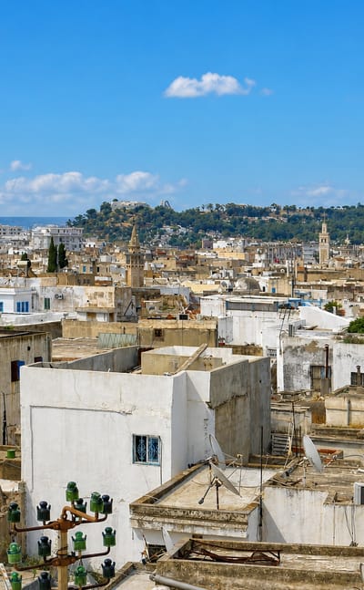 Whitewashed rooftops of the Tunis medina, Tunisia, with a distant minaret and green hillside beyond.
