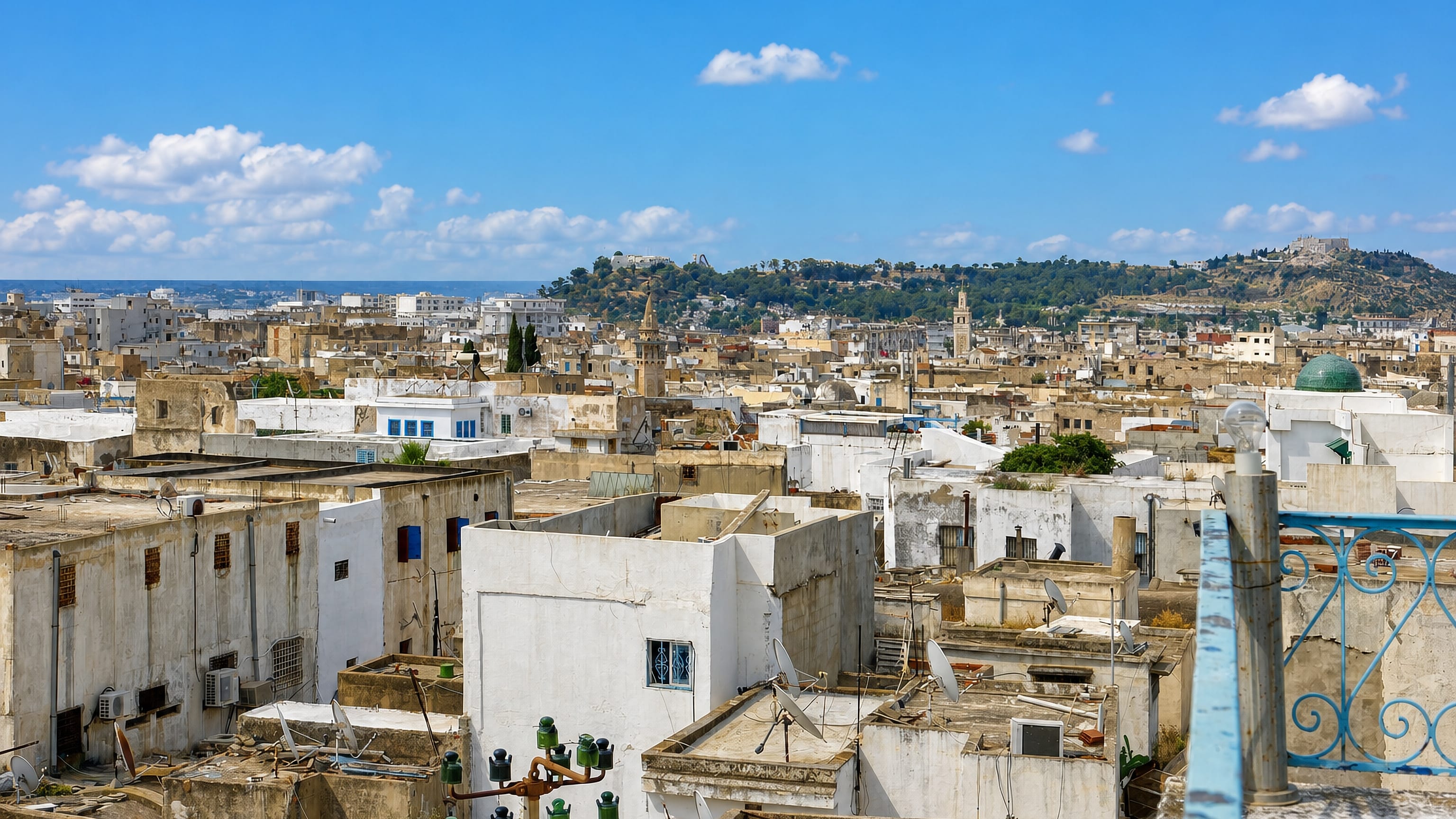Whitewashed rooftops of the Tunis medina, Tunisia, with a distant minaret and green hillside beyond.