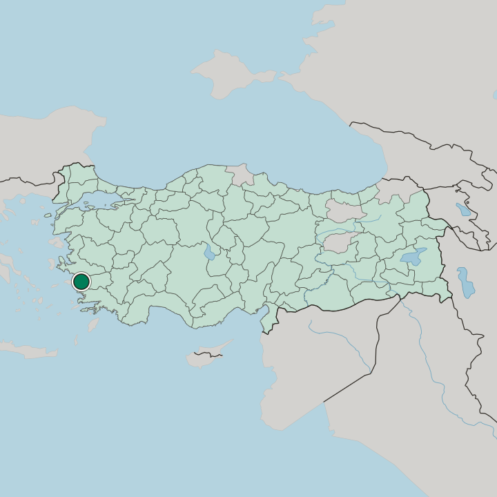 Map showing Söke — In Turkey
