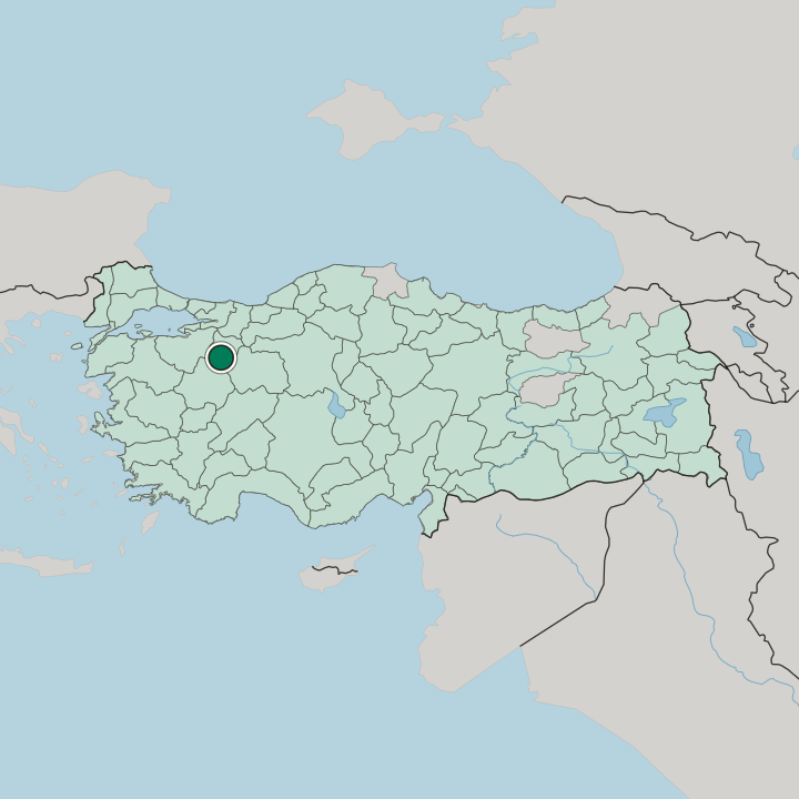 Map showing Bozüyük — In Turkey
