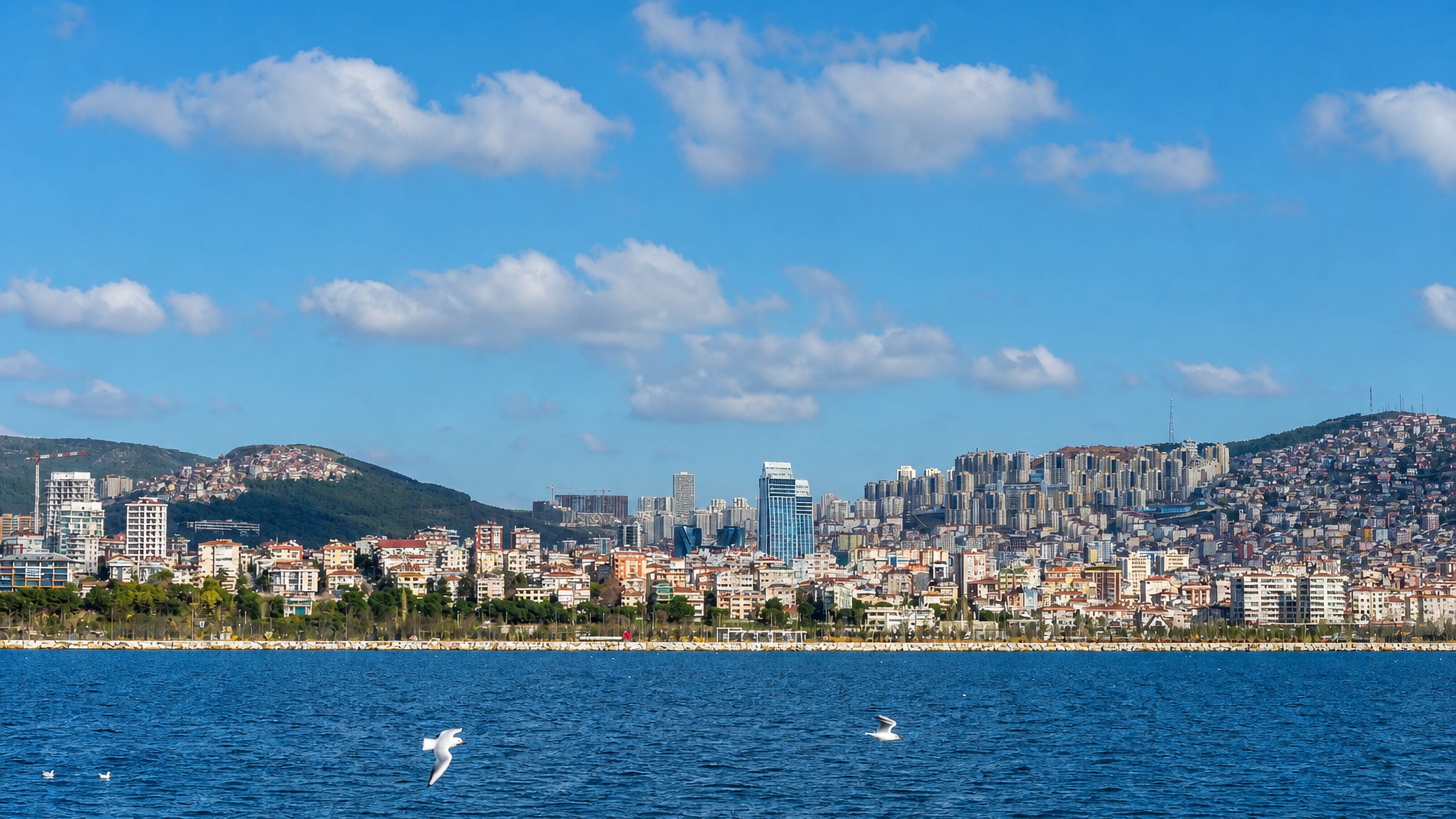 Maltepe's Istanbul coastline from the Sea of Marmara, high-rises and hillside housing rising behind the shore park.