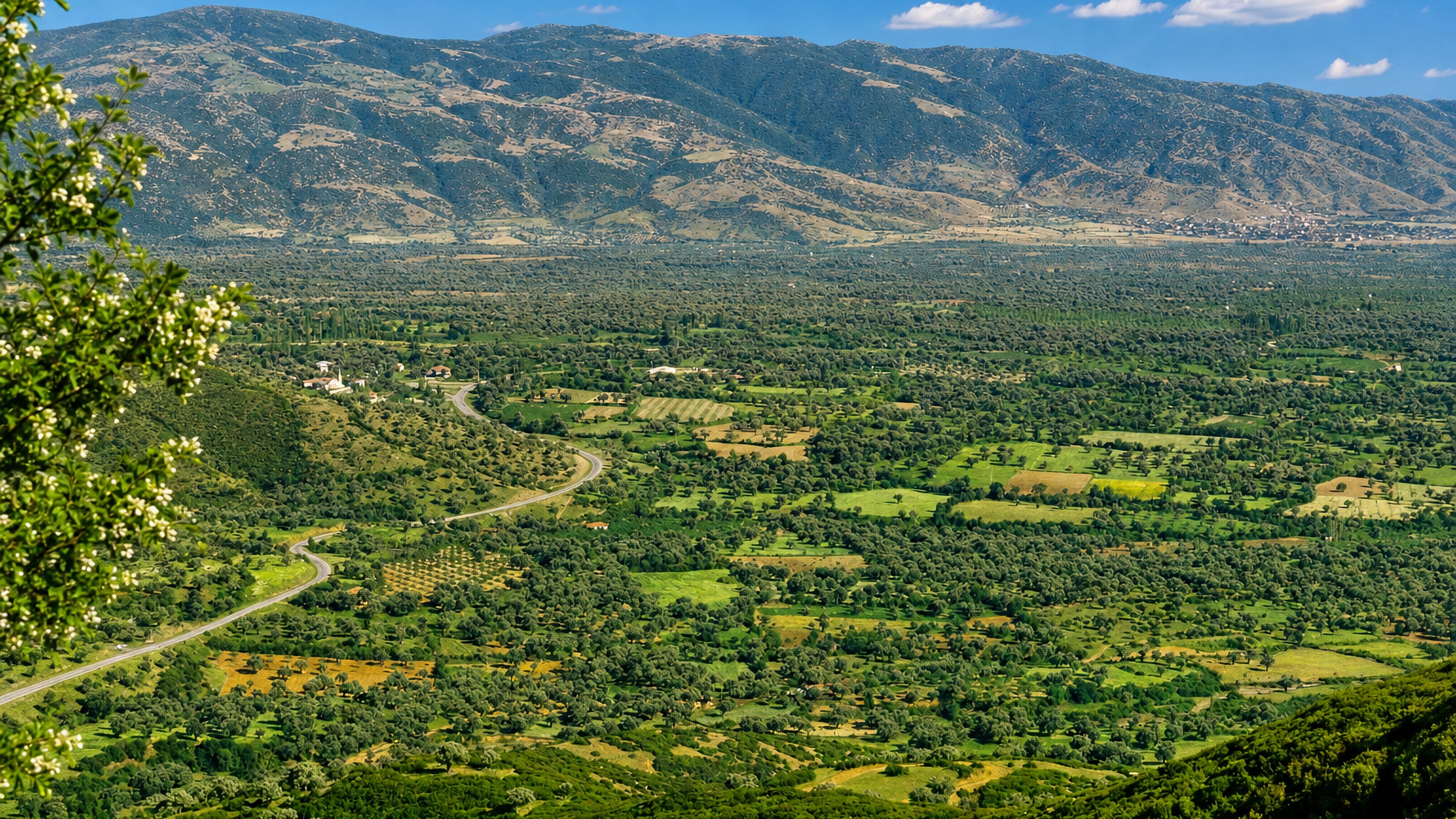 Farmland and olive groves in the valley around Ödemiş, western Turkey, below a long mountain ridge
