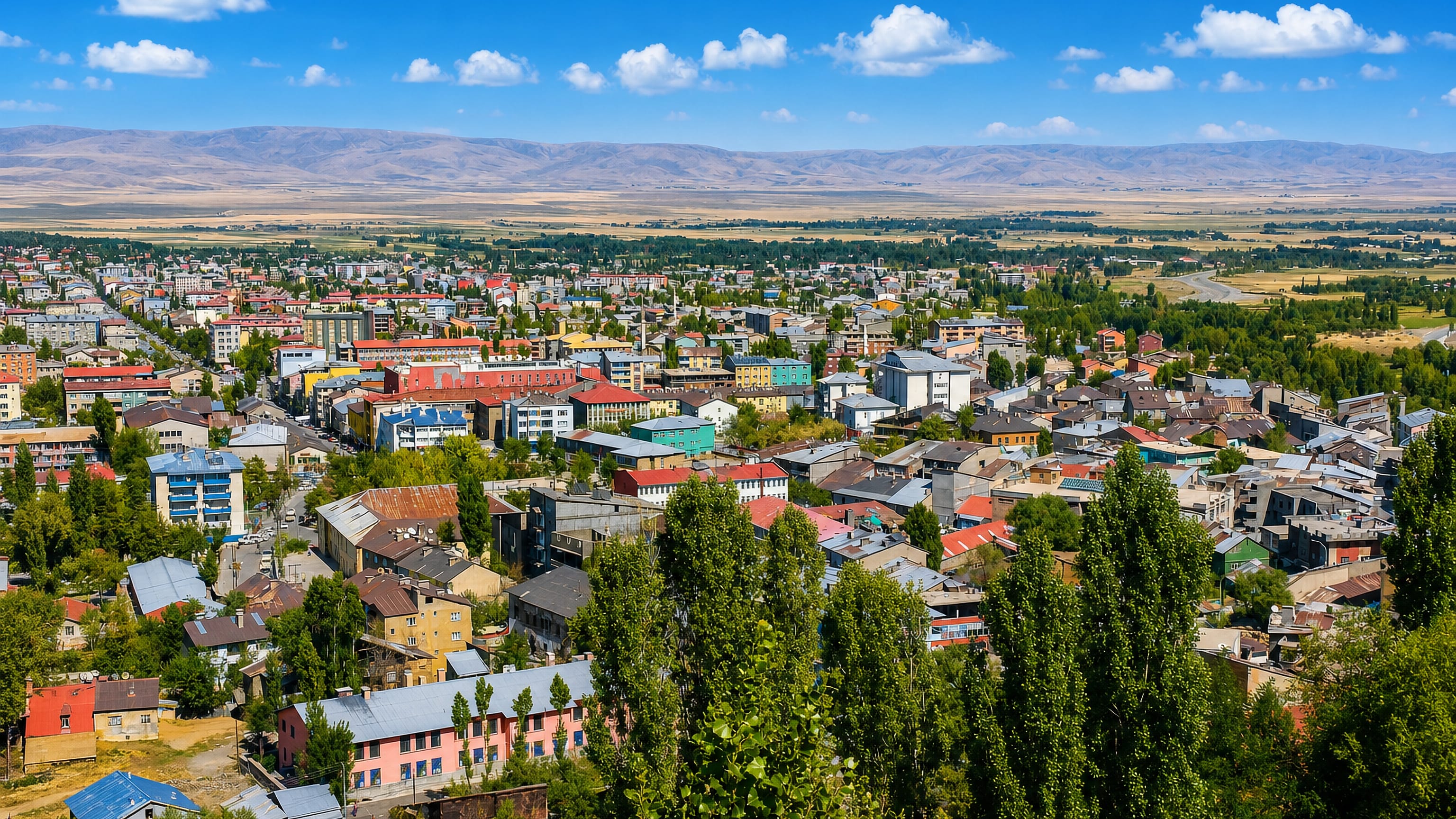 Colourful low-rise houses of Mus, Turkey, below poplar trees with the Mus plain and mountains beyond.
