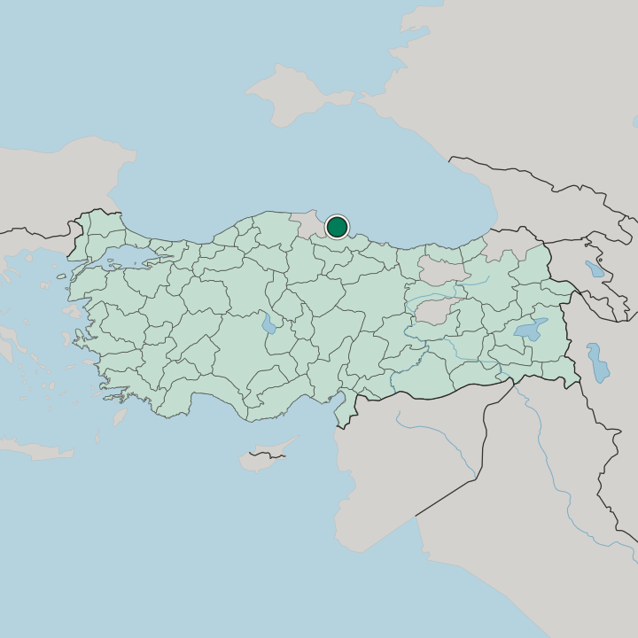 Map showing Bafra — In Turkey