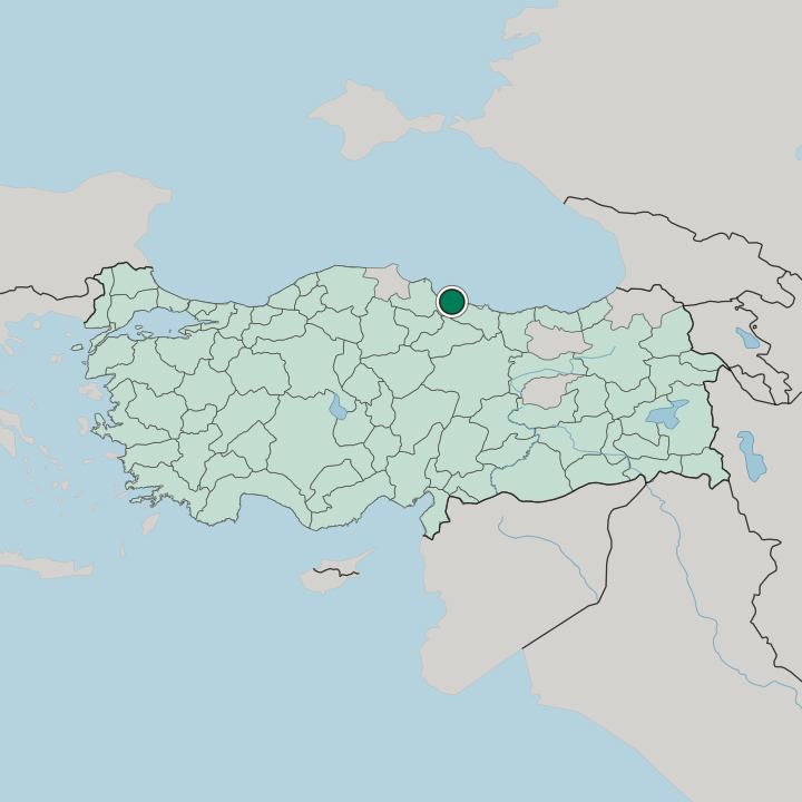 Map showing Çarşamba — In Turkey