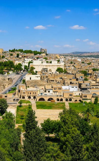 Sanliurfa's tan stone old town spreading over hills, with a minaret and the green Golbasi gardens below