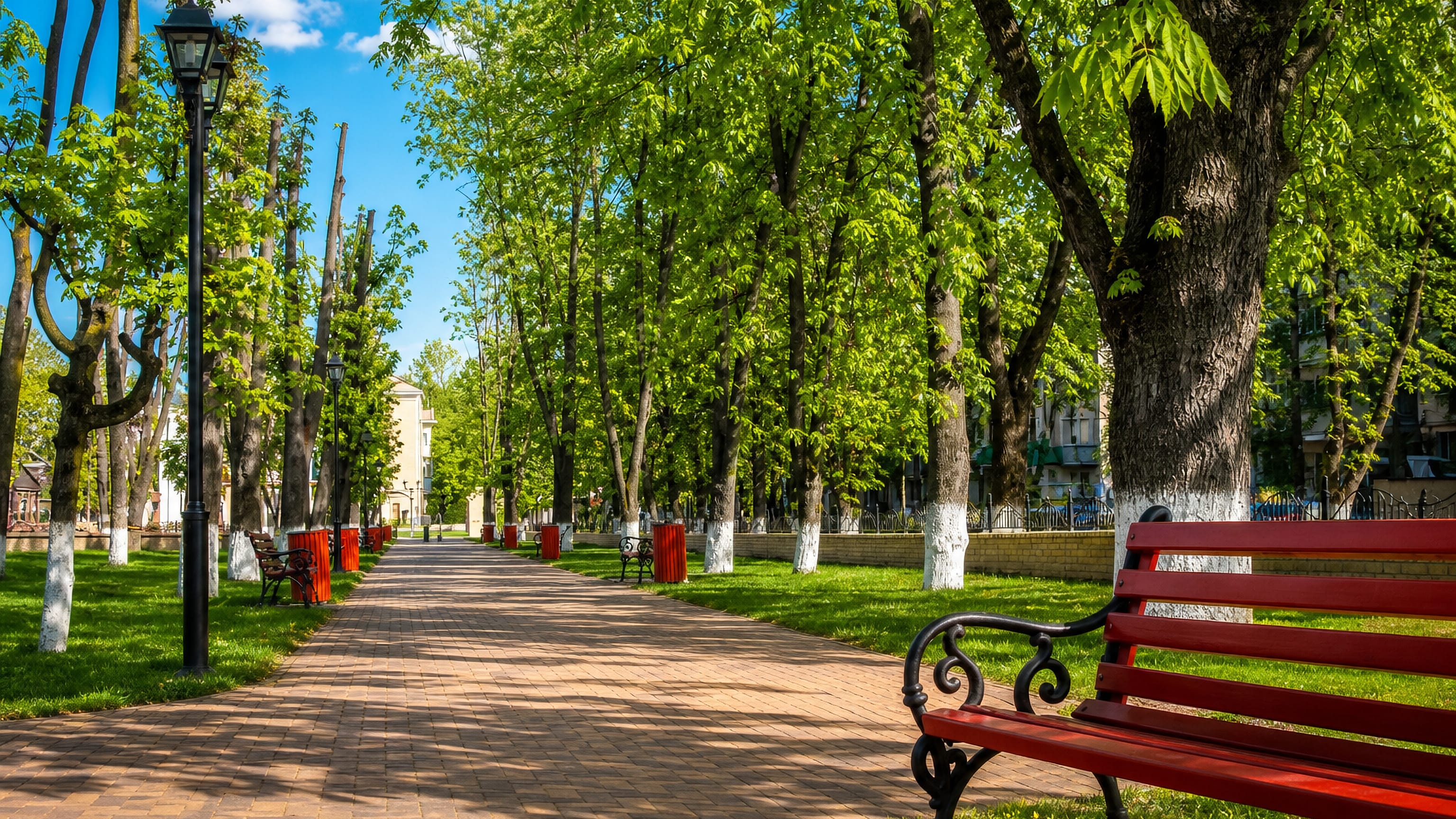 A tree-lined brick promenade with red benches and lanterns in a central park in Brovary, Ukraine.
