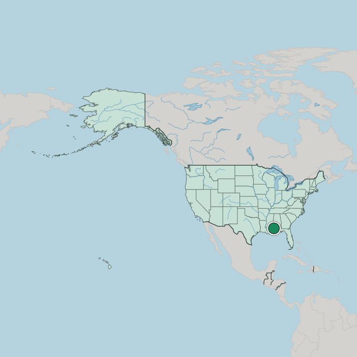 Map showing Mobile — In United States