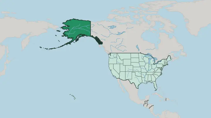 Map of Alaska in United States