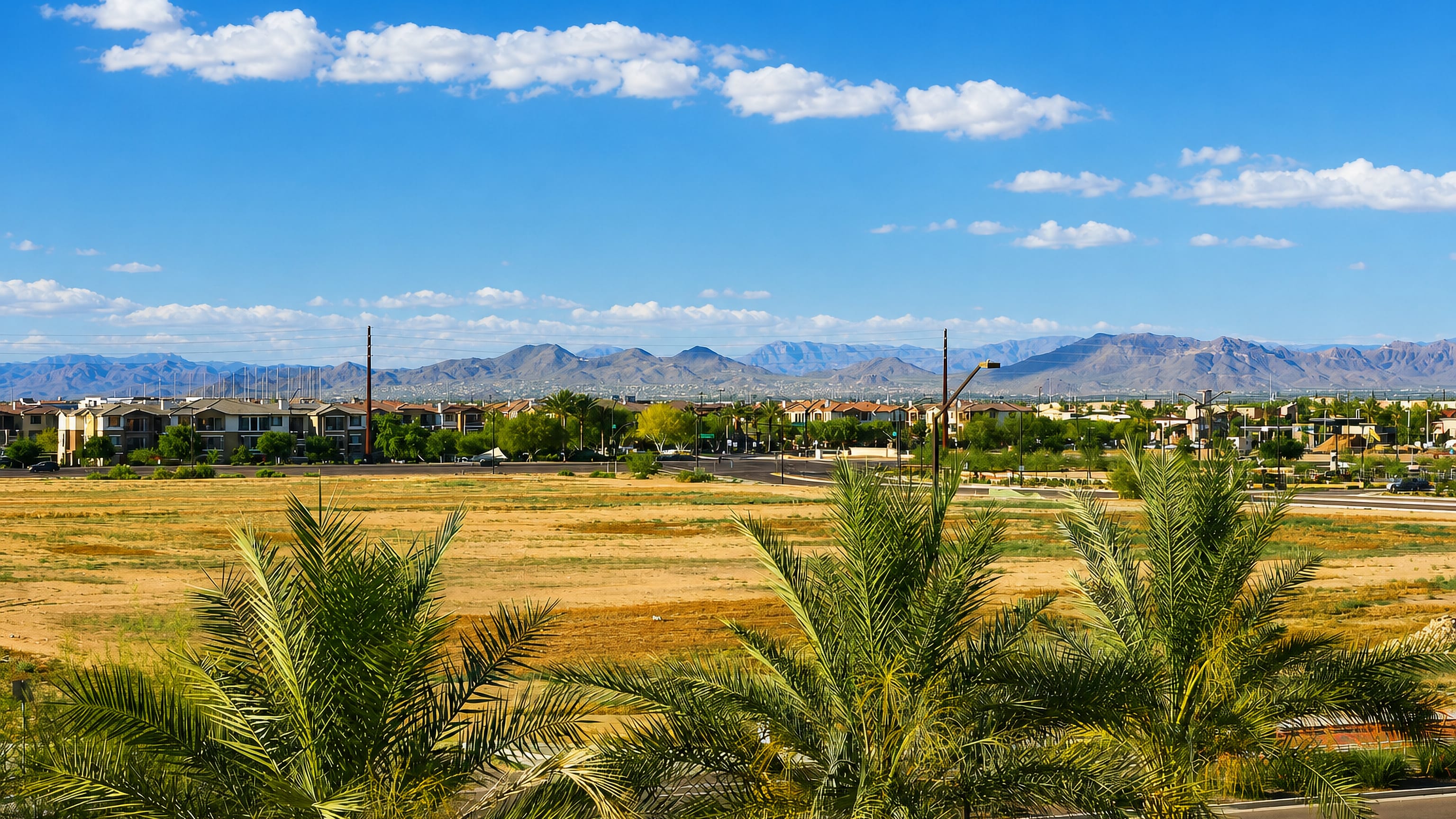 Desert edge of Gilbert, Arizona, with palms, an open lot, low stucco housing and mountains on the horizon.