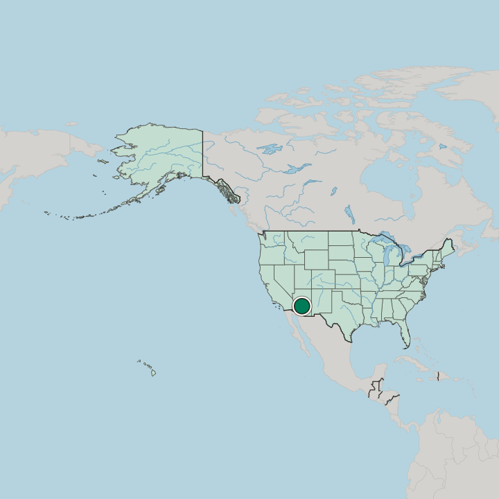 Map showing Mesa — In United States