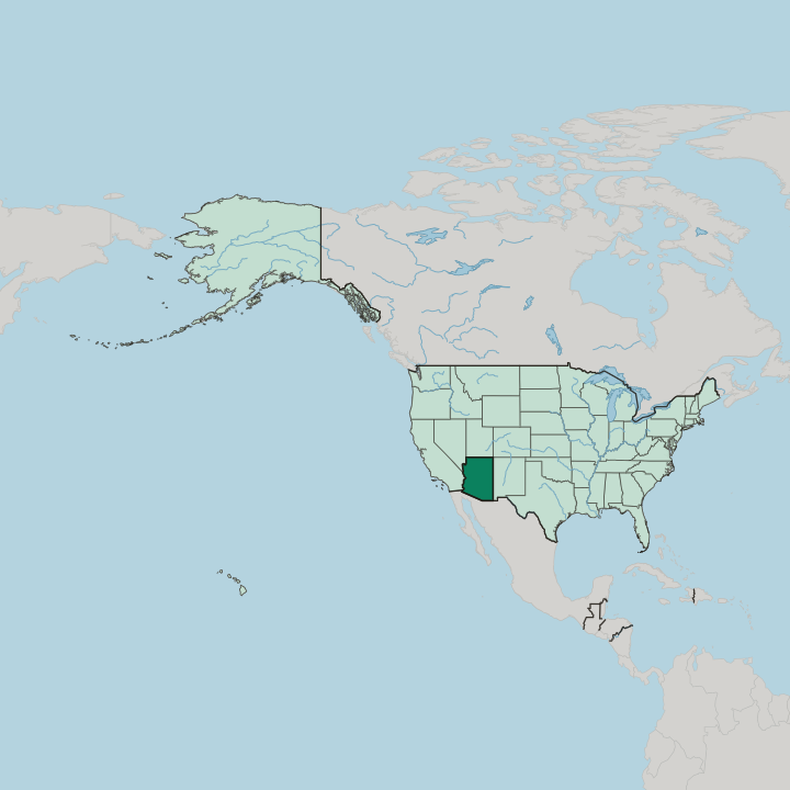 Map showing Arizona — In United States