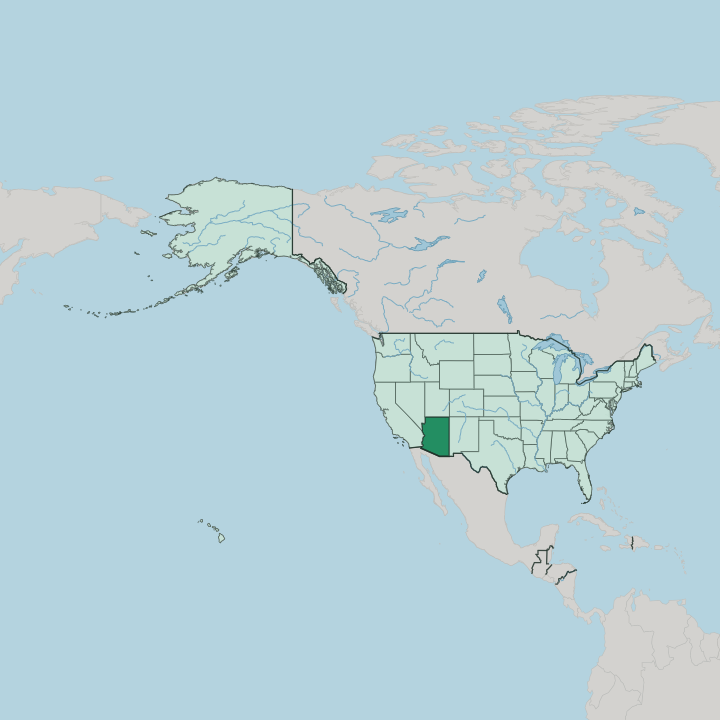 Map showing Arizona — In United States