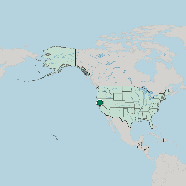 Map showing Chico — In United States