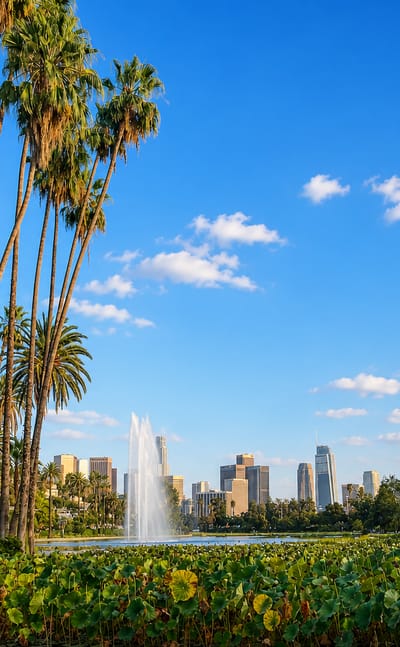 Palm trees frame Echo Park Lake's lotus beds and fountain with the downtown Los Angeles skyline beyond.