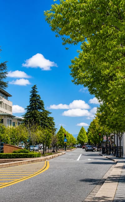 Tree-lined downtown street with mid-rise offices under a blue sky in Mountain View, California