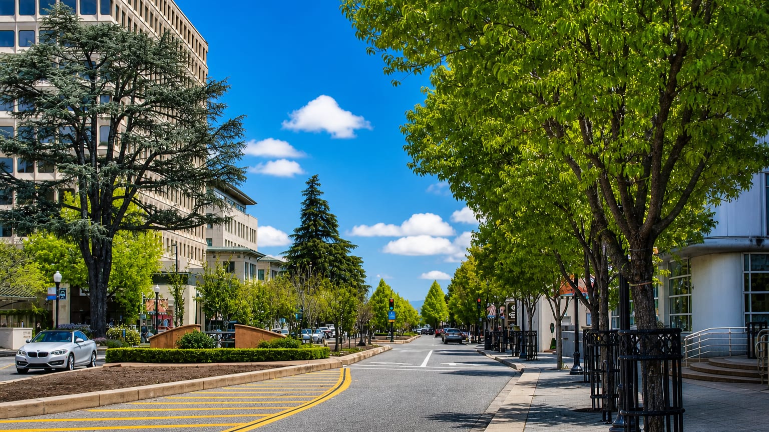 Tree-lined downtown street with mid-rise offices under a blue sky in Mountain View, California