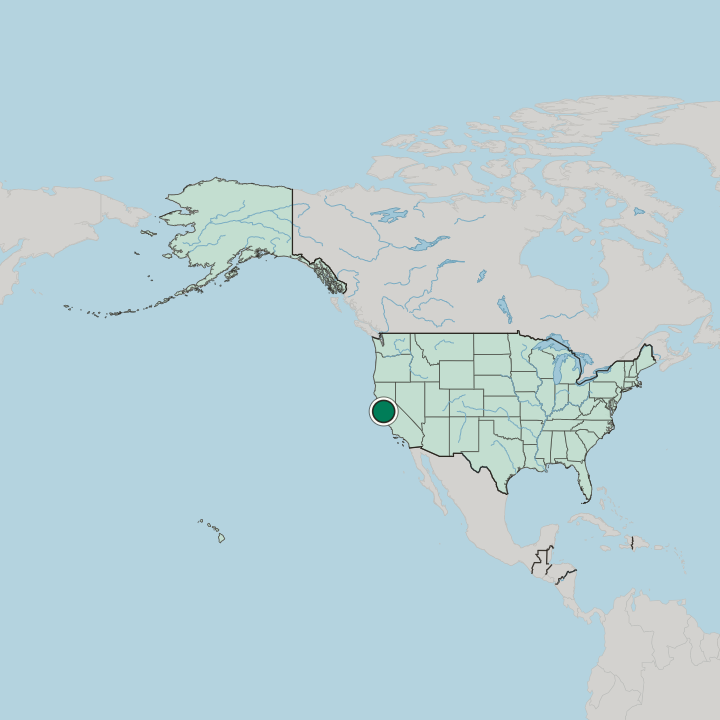 Map showing Barbary Coast — In United States