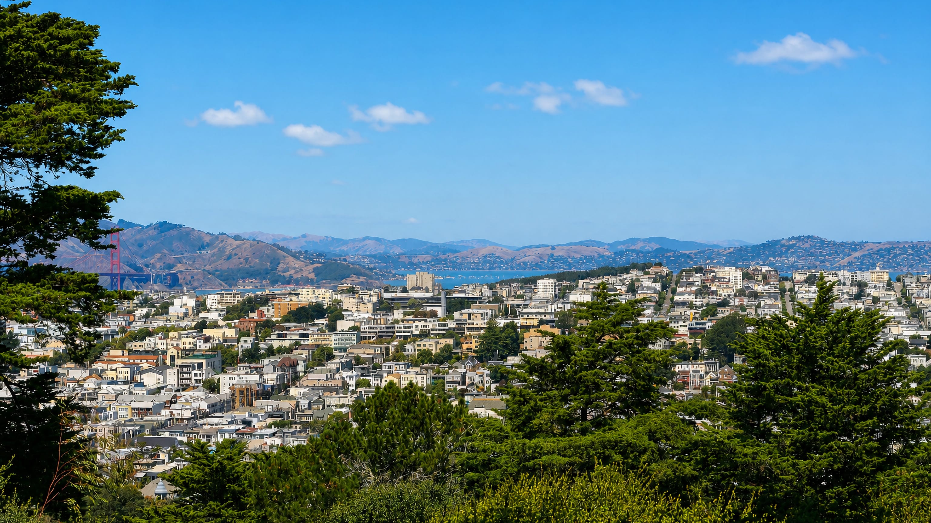 Hilltop view over Haight-Ashbury rooftops in San Francisco toward the Golden Gate Bridge and Marin Headlands.