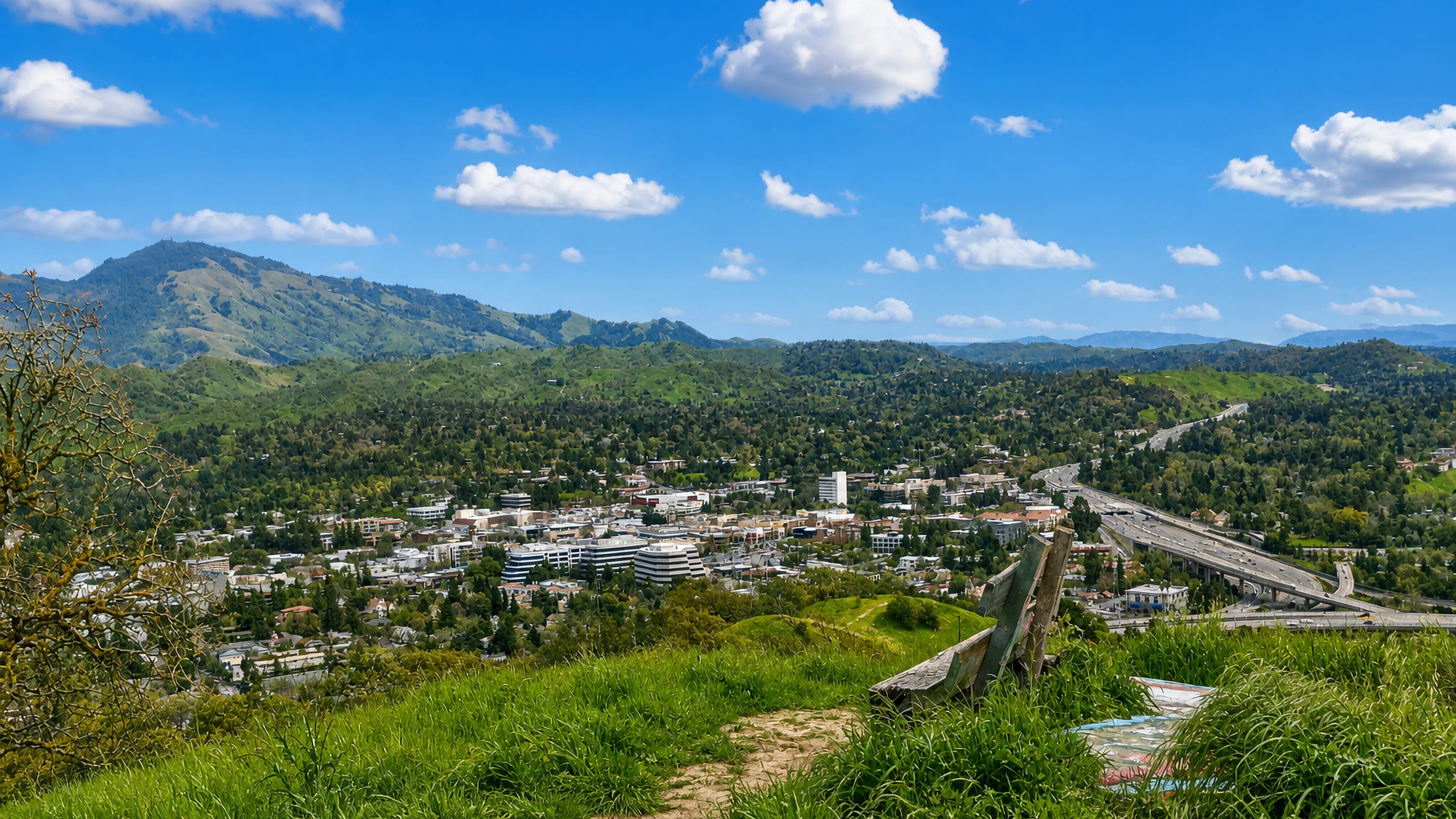 Walnut Creek, California, seen from a grassy ridge, with downtown offices, wooded hills and the freeway interchange