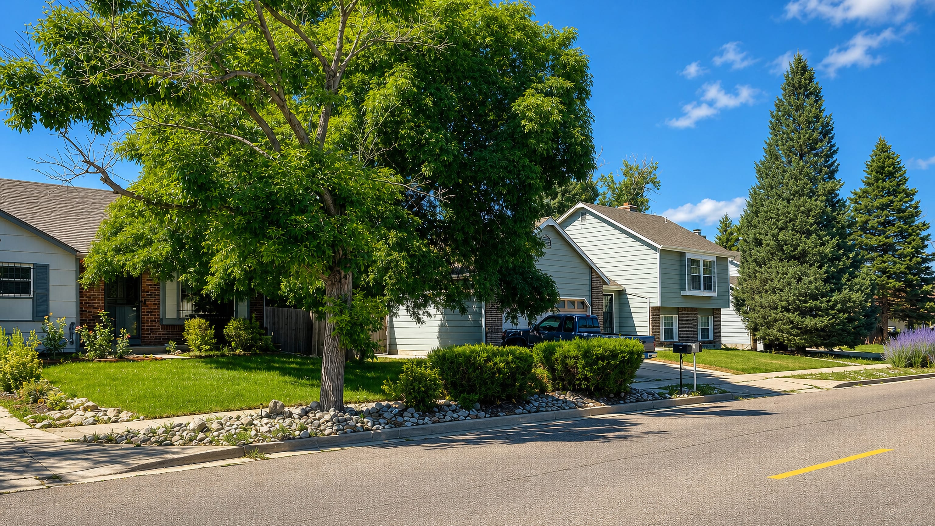 Tree-shaded split-level homes and lawns on a quiet residential street in Denver's Montbello neighbourhood.