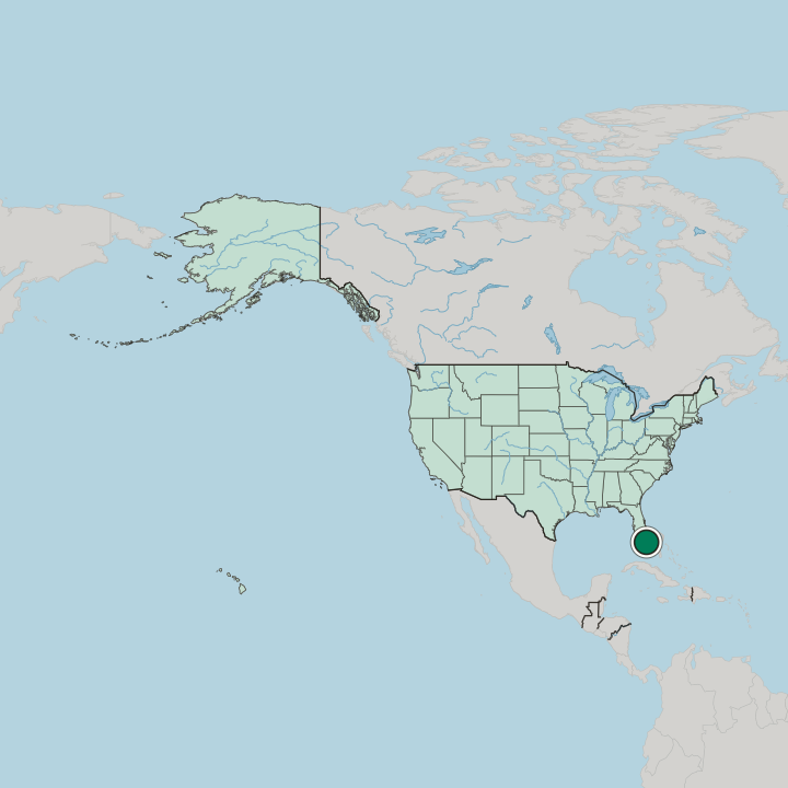 Map showing Coral Gables — In United States