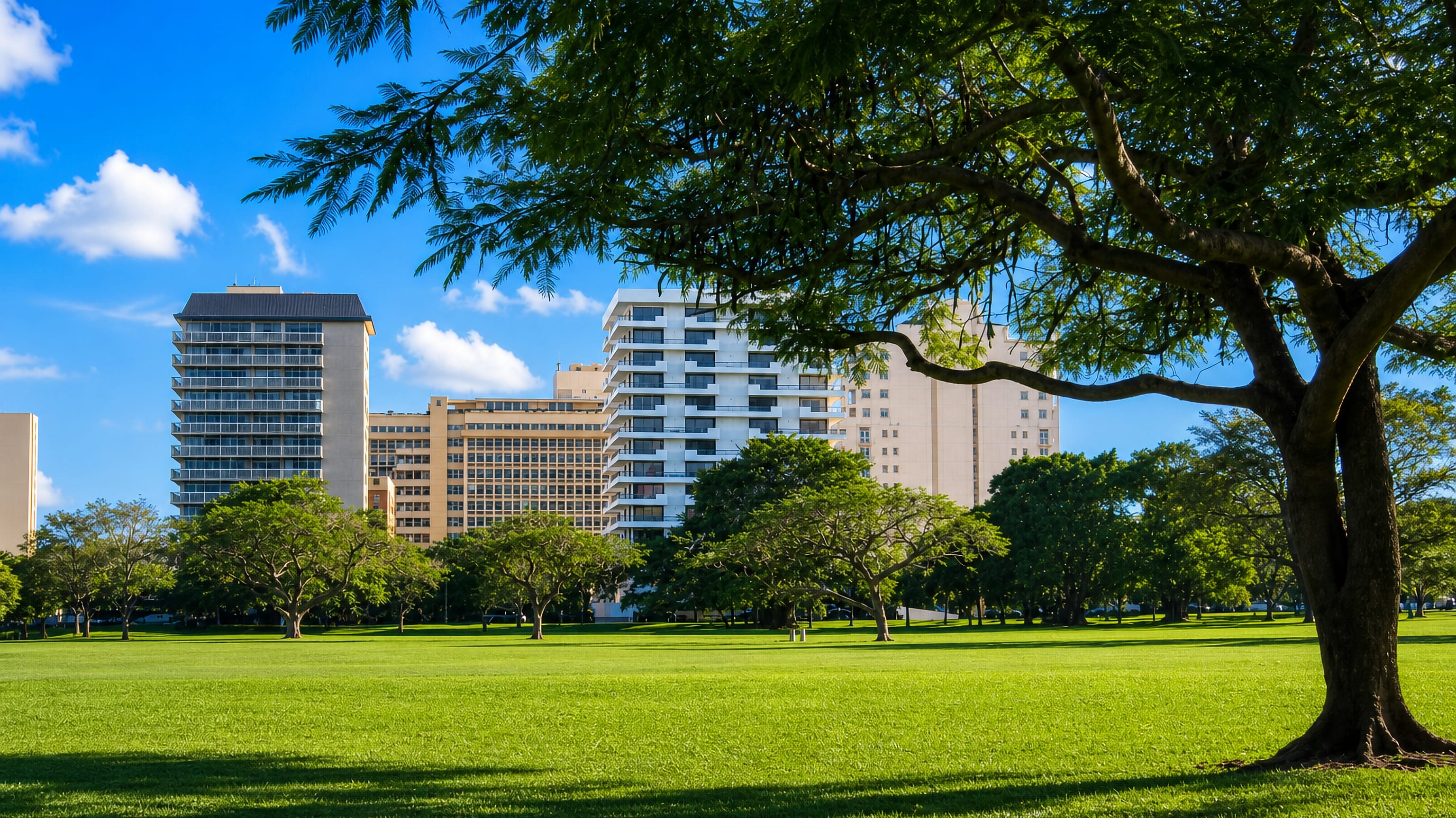 Sunlit park lawn and shade trees in Coral Gables, Florida, backed by white mid-rise residential towers