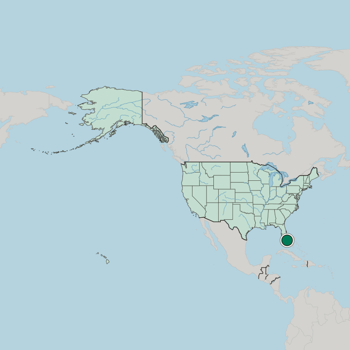 Map showing Hialeah — In United States