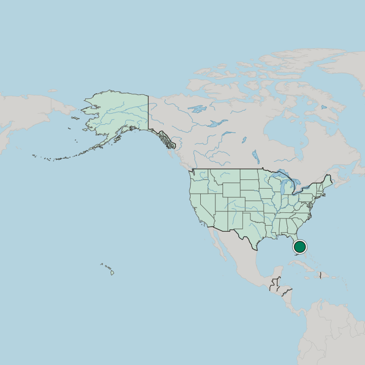 Map showing Jupiter — In United States