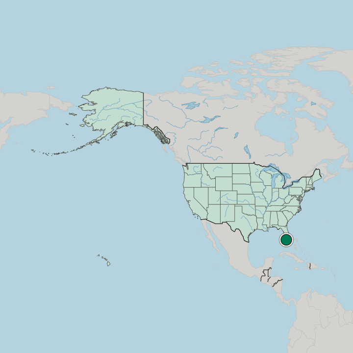 Map showing Lehigh Acres — In United States