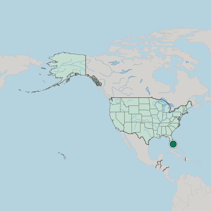 Map showing Margate — In United States