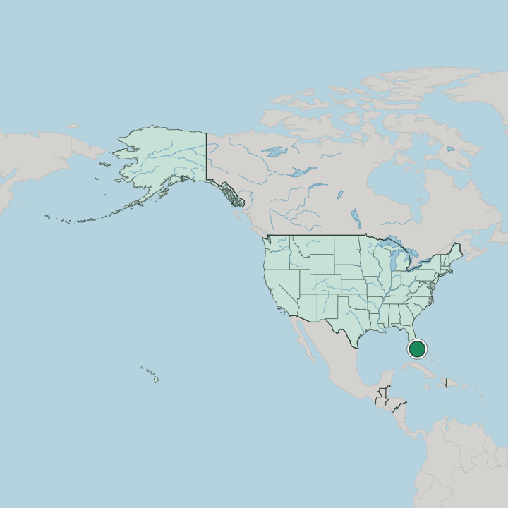 Map showing Miami Beach — In United States