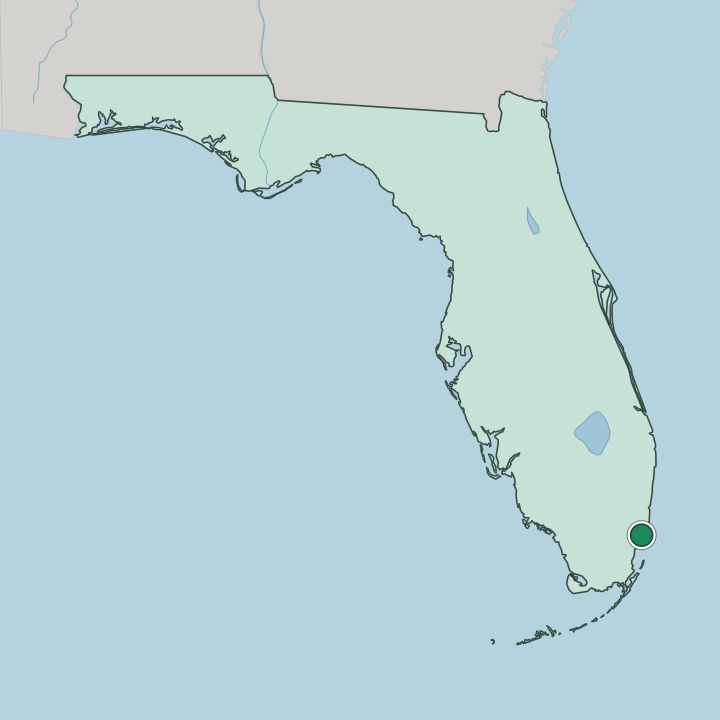 Map showing Little Havana — In Florida