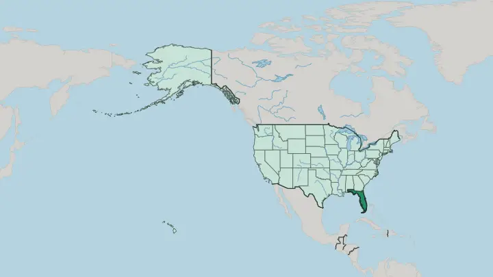 Map of Florida in United States