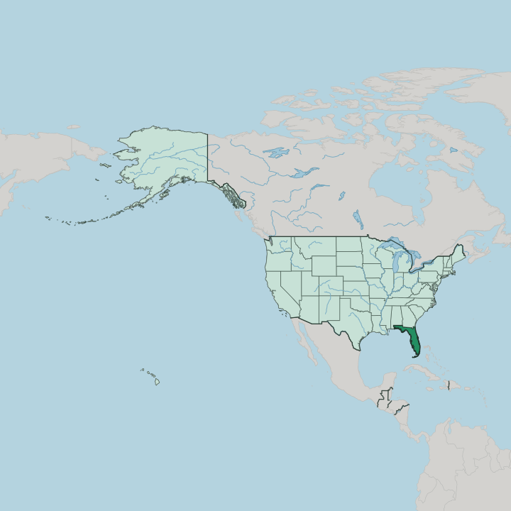 Map showing Florida — In United States
