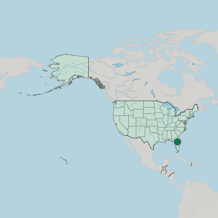 Map showing Palm Coast — In United States