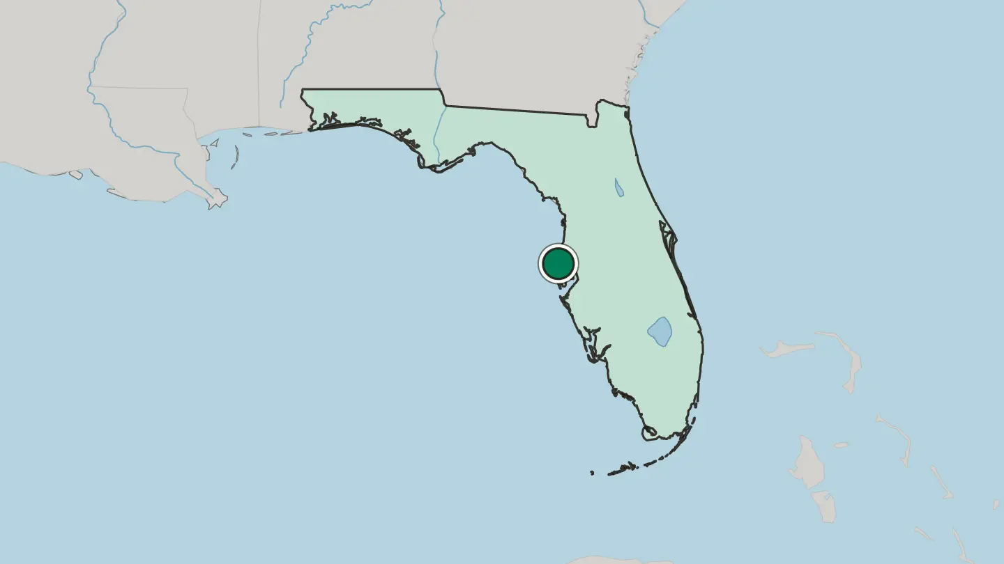 Map of Palm Harbor in United States