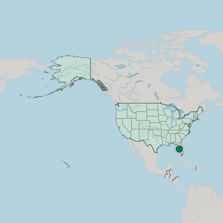Map showing St. Petersburg — In United States