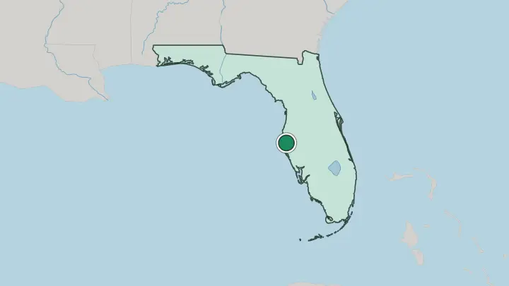 Map of St. Petersburg in United States
