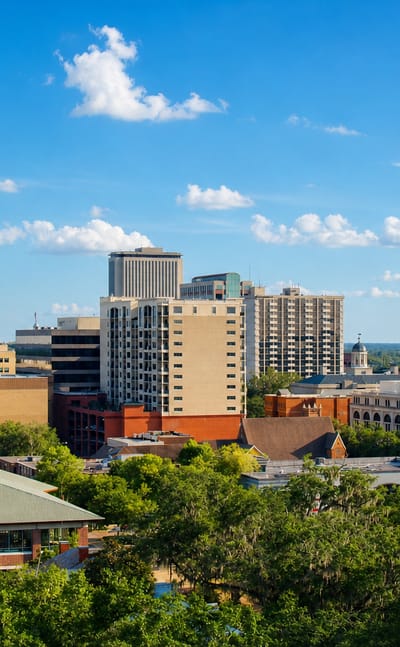 Downtown Tallahassee's mid-rise towers and church spires rise above moss-draped live oaks.