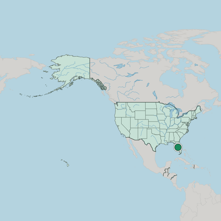Map showing Tampa — In United States